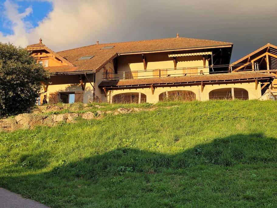 Grand Gites 6 Personnes Uriage Chamrousse Grenoble Revel  エクステリア 写真